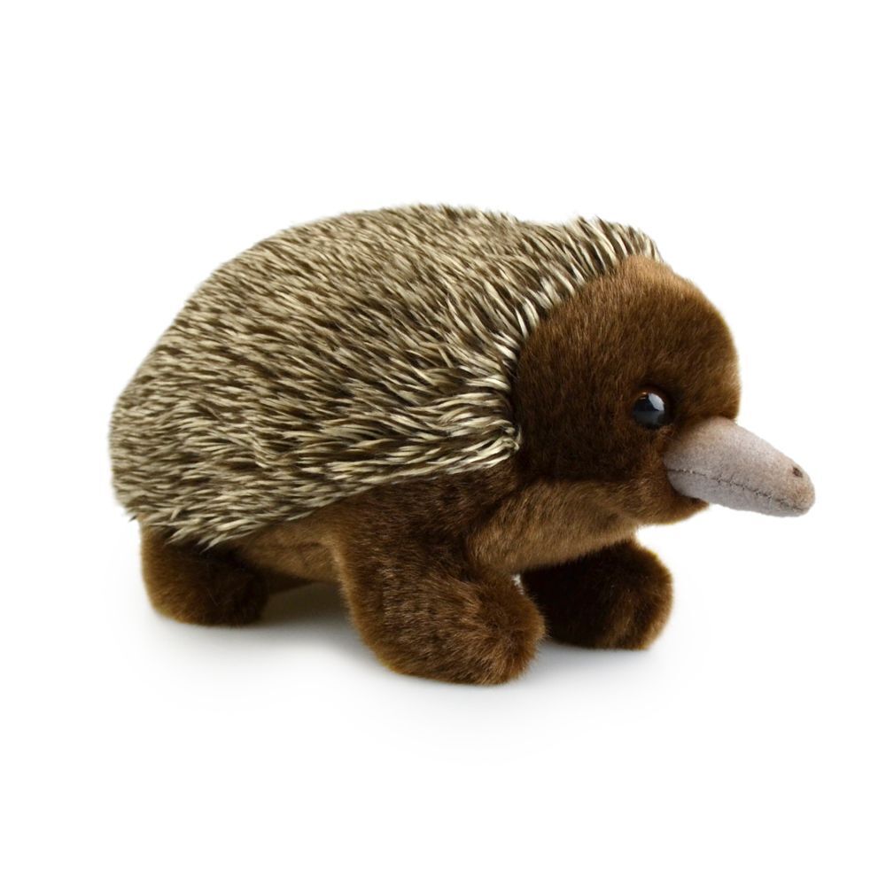 Lil Friends 18cm Echidna Soft Plush Stuffed Animal Toy Brown 3 Years & Up