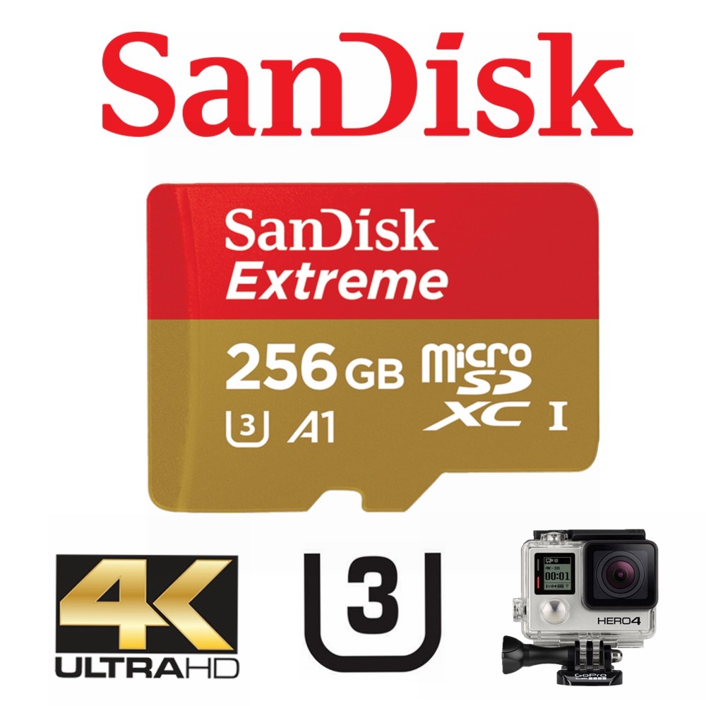 SanDisk Extreme MicroSD 256GB SDXC U3 Class 10 Memory Card 160MB/s GoPro