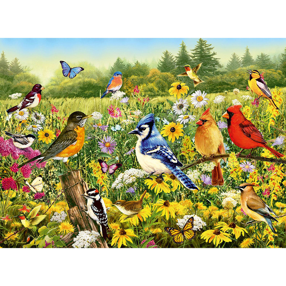 Ravensburger Birds in the Meadow 500pc Family Jigsaw Puzzle Set 49 36 cm